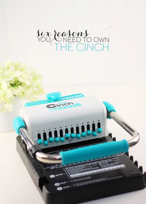 Six Reasons You Need The Cinch | Damask Love