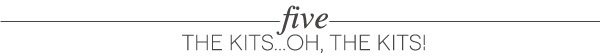 Six Reasons You Need The Cinch | Damask Love