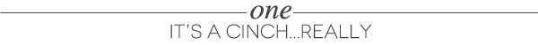 Six Reasons You Need The Cinch | Damask Love